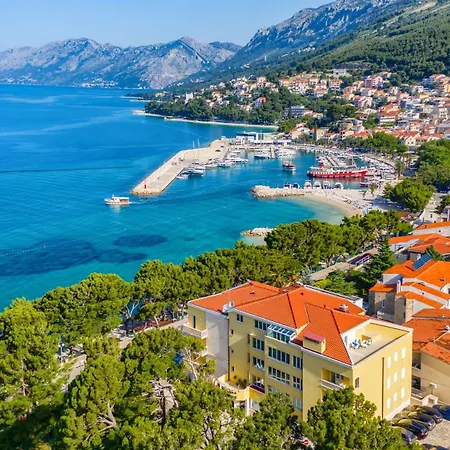 Bacchus Baška Voda
