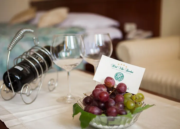 فندق Bacchus