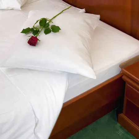 Hotel Bacchus Baska Voda