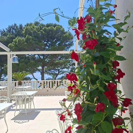 Bacchus Hotel Baška Voda