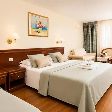 Hotel Bacchus Baska Voda
