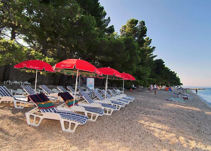 Bacchus Hotell